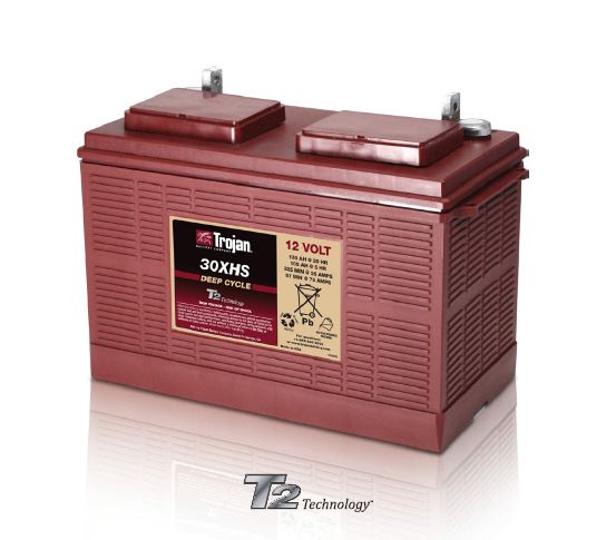 T875 Golf Cart Battery