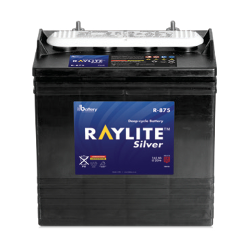 R-875 Golf Cart Battery