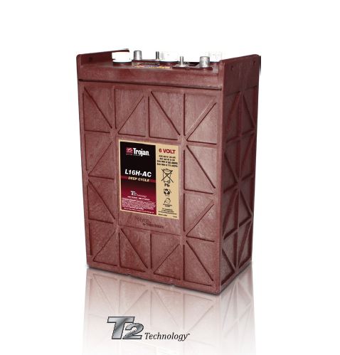 T875 Golf Cart Battery